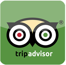 logo tripadvisor png 2